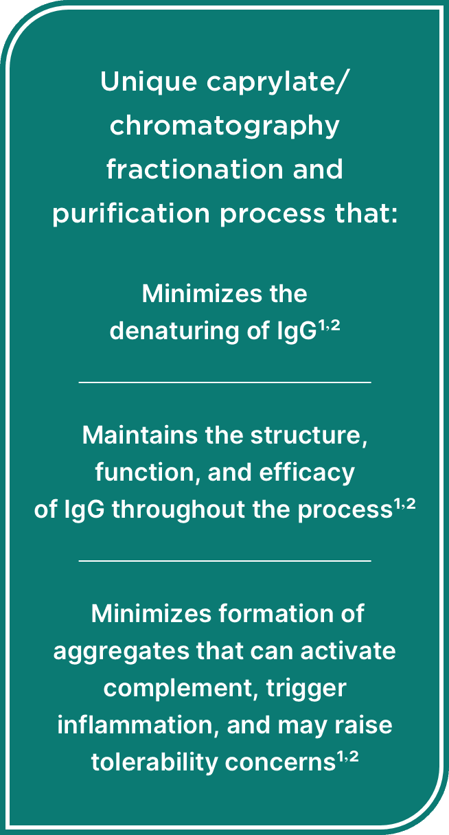 Unique caprylate/chromatography fractionation and purification process